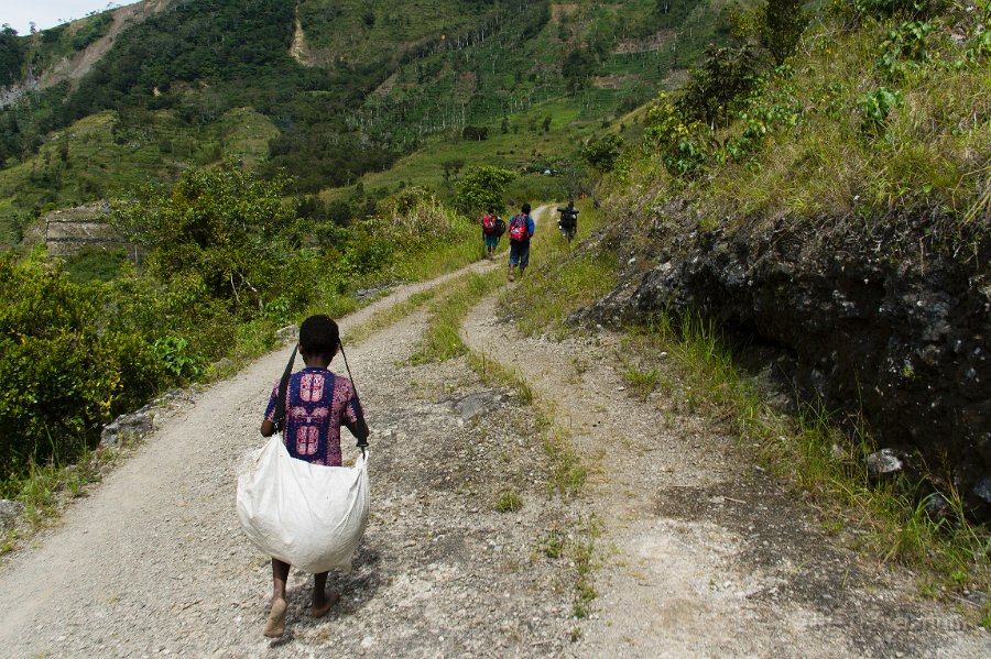 Papua DSC05088