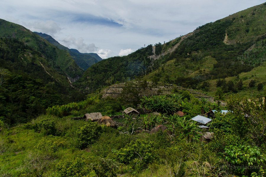 Papua DSC05089