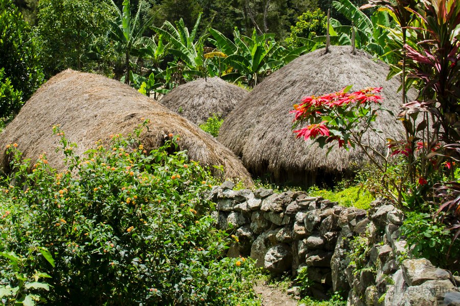 Papua DSC05117