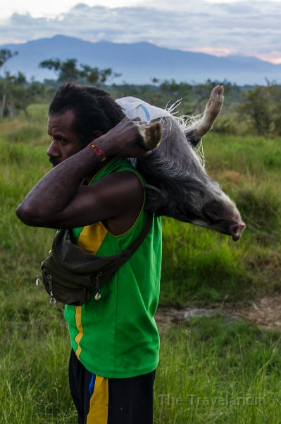 Papua DSC05131