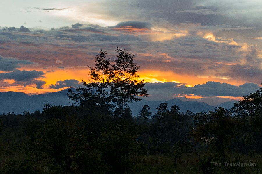 Papua DSC05136