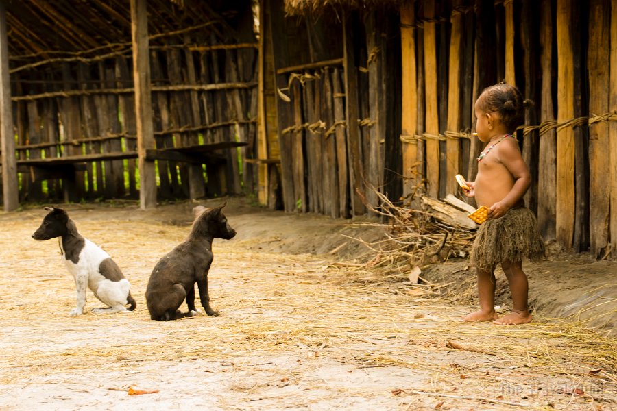 Papua DSC05159