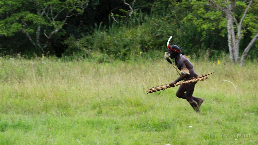 Papua DSC05237