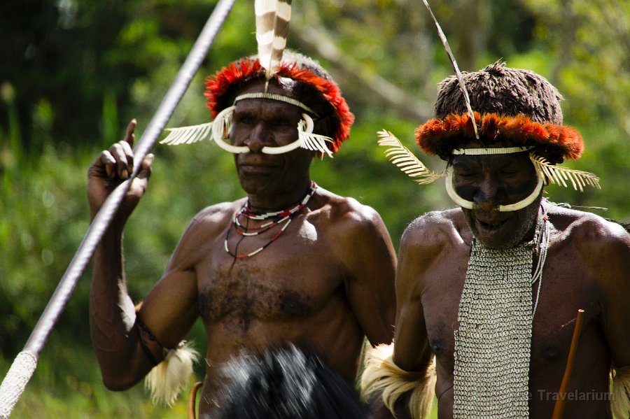 Papua DSC05276