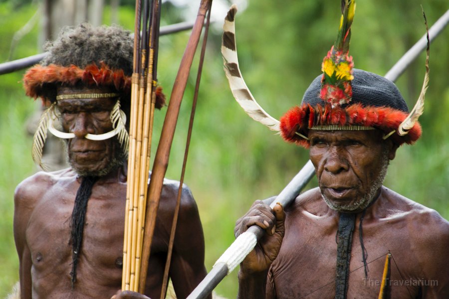 Papua DSC05277