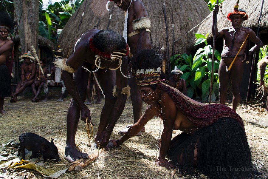 Papua DSC05314