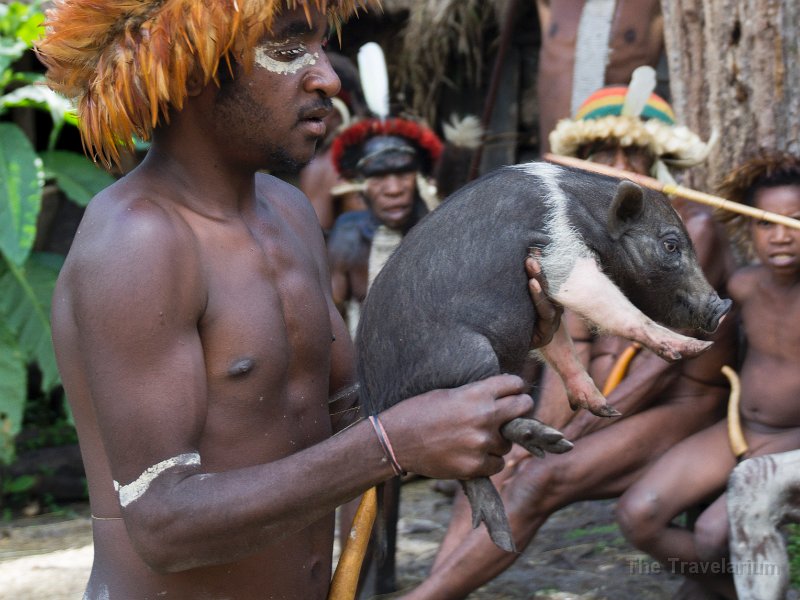 Papua DSC05319