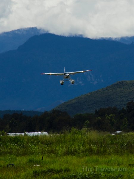 Papua DSC05467