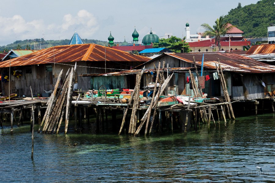 Papua DSC05559