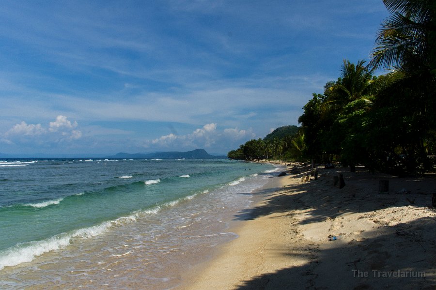 Papua DSC05583