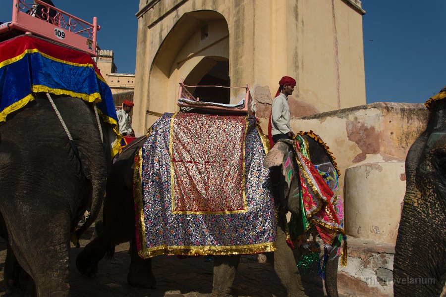 Rajasthan 011