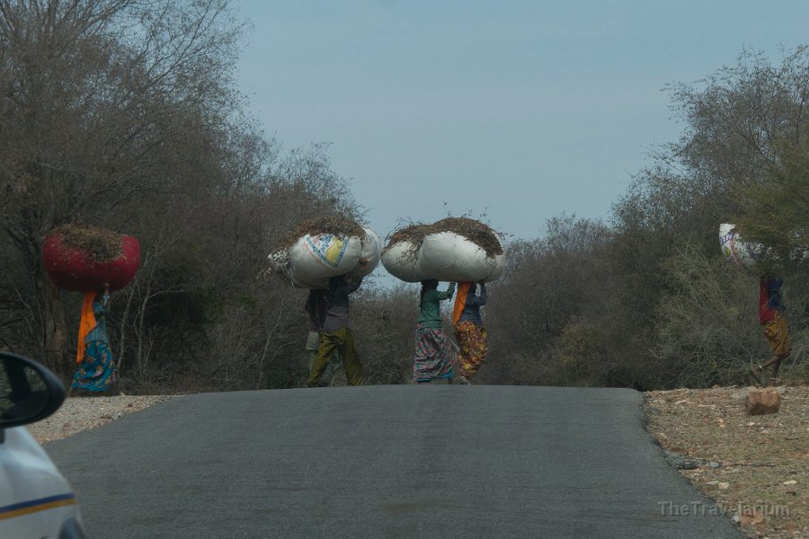 Rajasthan 038