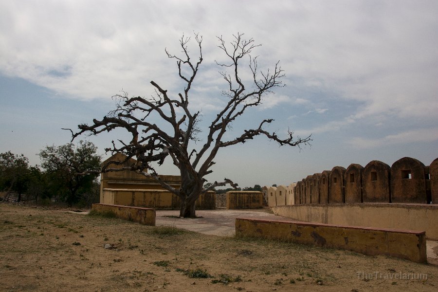 Rajasthan 039