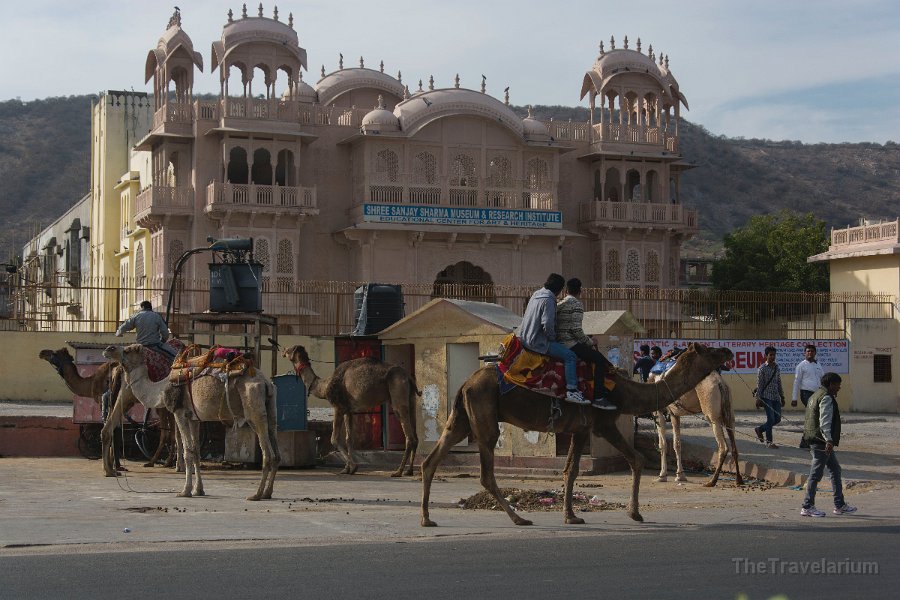 Rajasthan 061