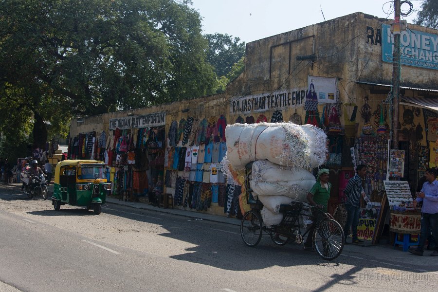 Rajasthan 081