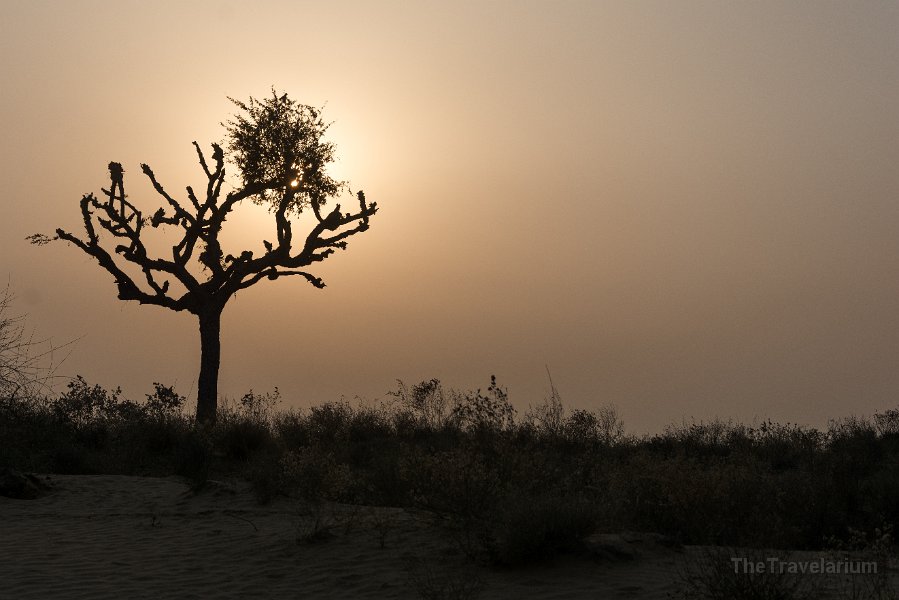 Rajasthan 170