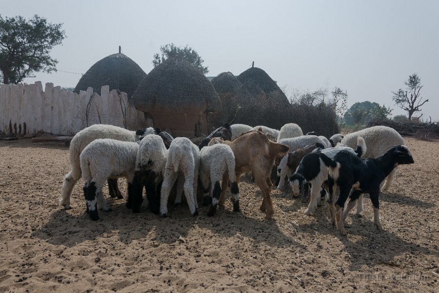 Rajasthan 192