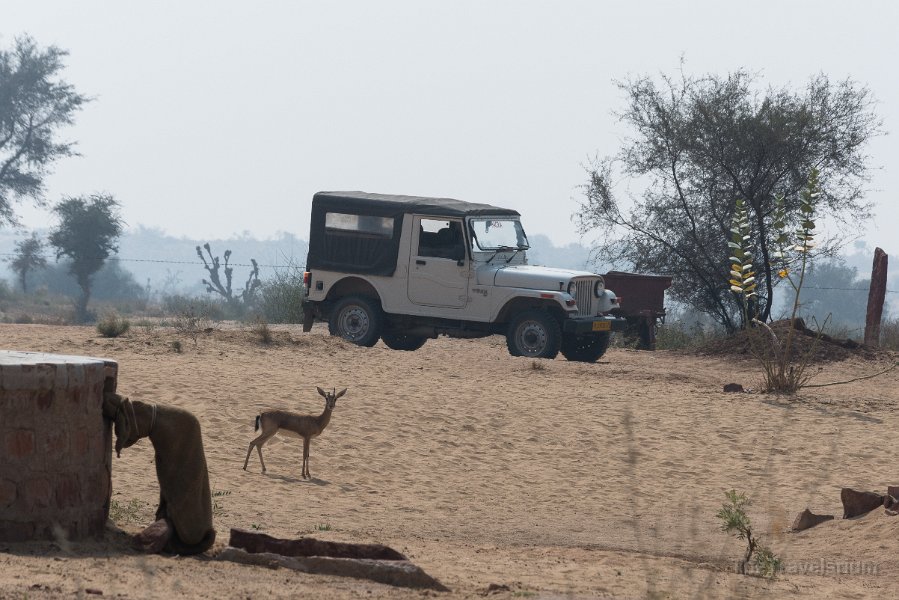 Rajasthan 194