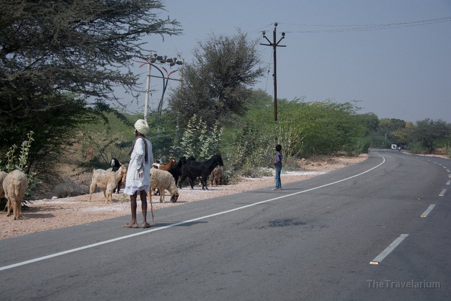 Rajasthan 198