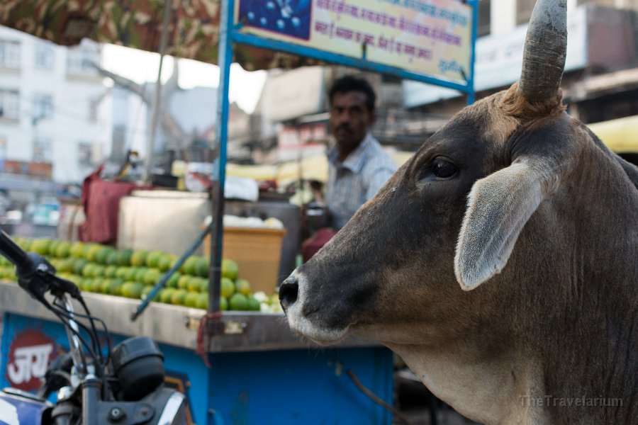 Rajasthan 344