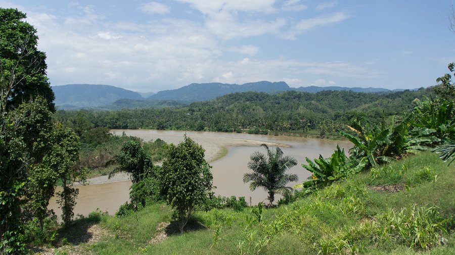 DSC07278 Toraja