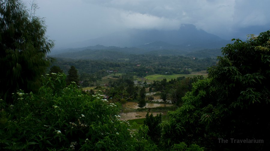 DSC07297 Toraja