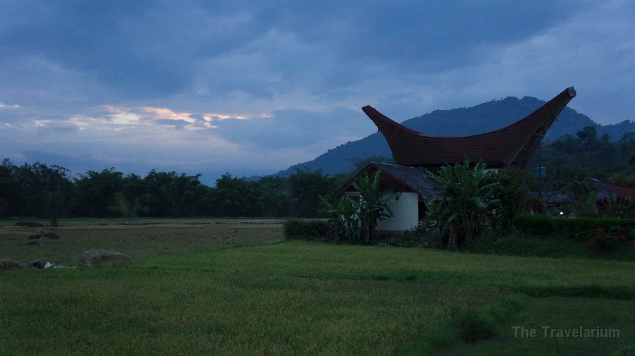 DSC07372 Toraja