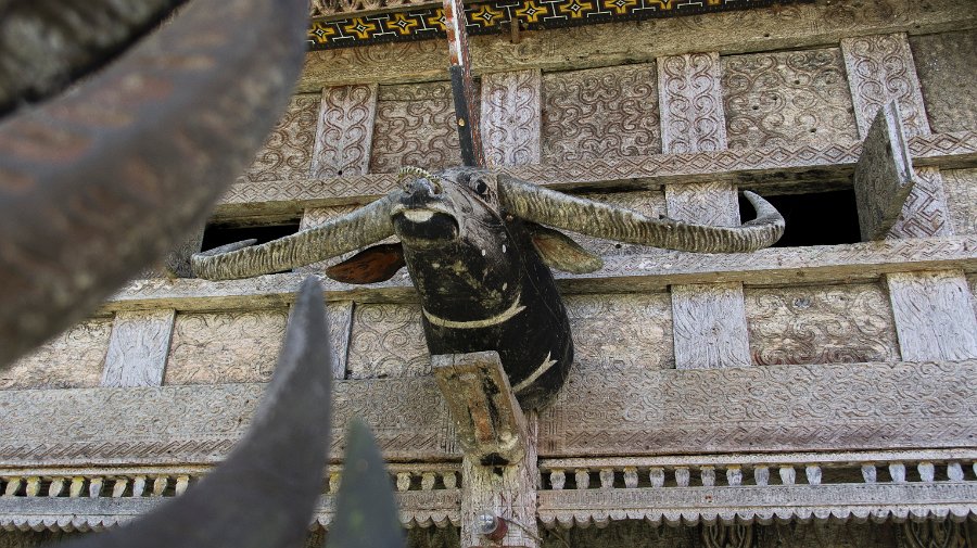 DSC07420 Toraja