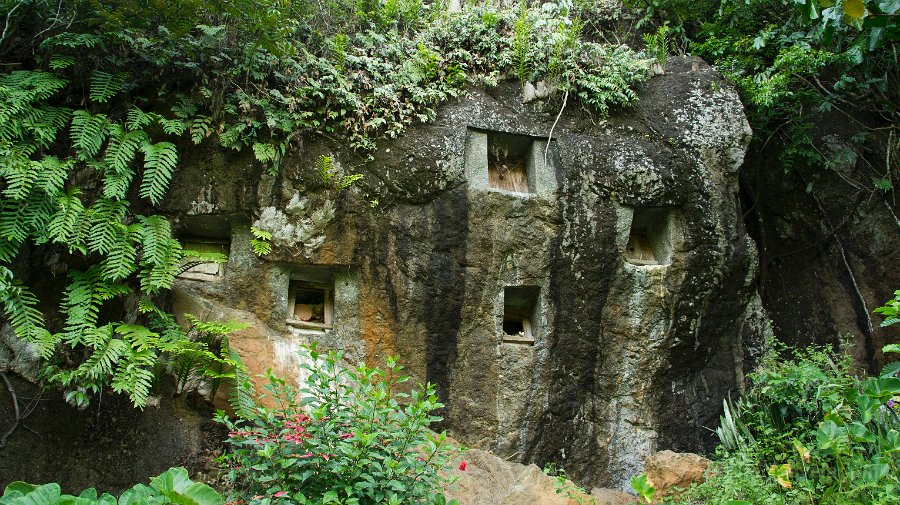 DSC07646 Toraja