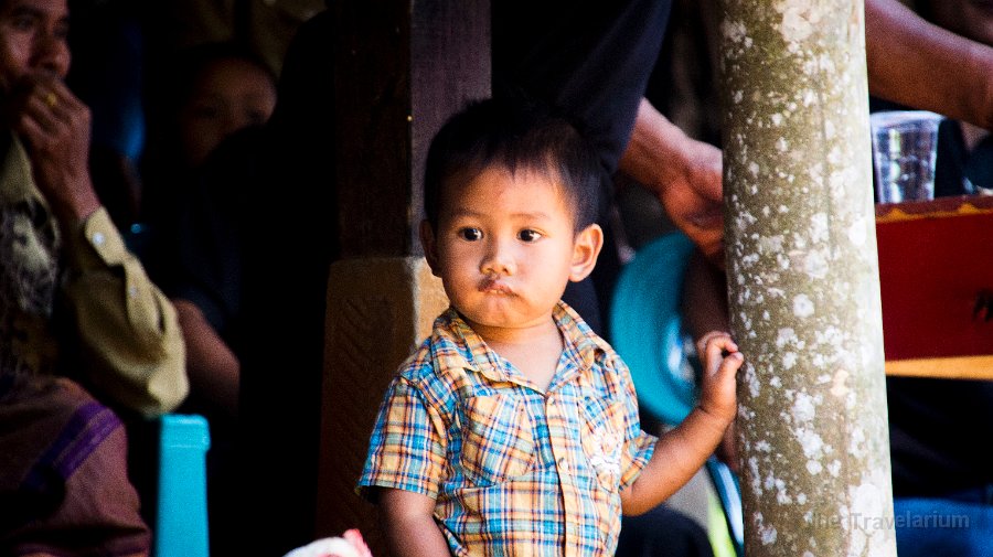 DSC07915 Toraja