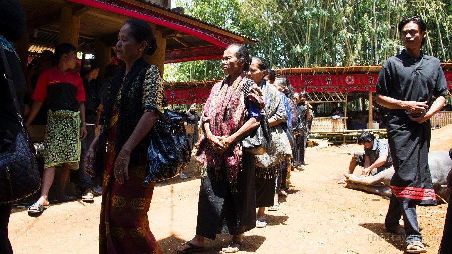 DSC07968 Toraja