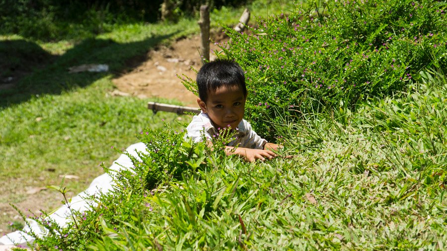 DSC08028 Toraja