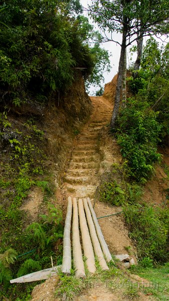 DSC08083 Toraja