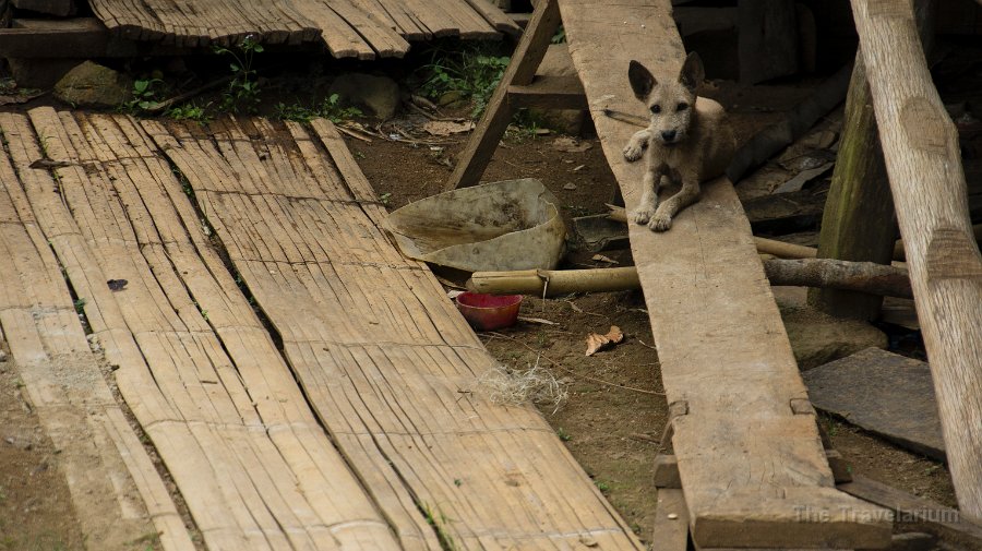 DSC08086 Toraja