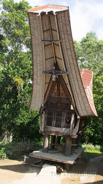 DSC08177 Toraja