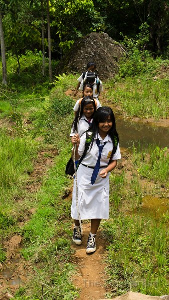 DSC08296 Toraja