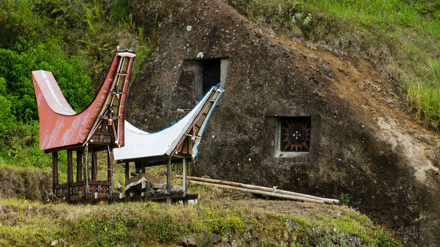 DSC08321 Toraja