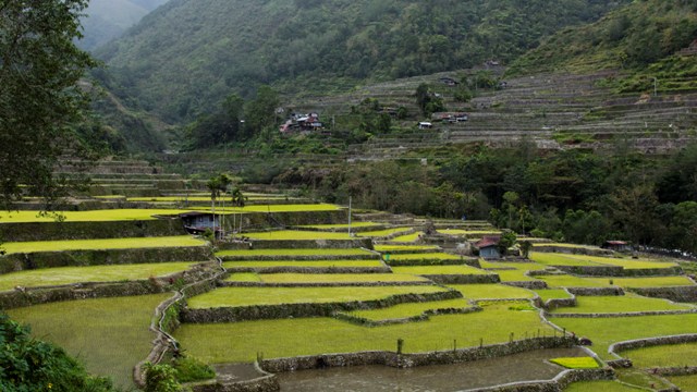 Banaue