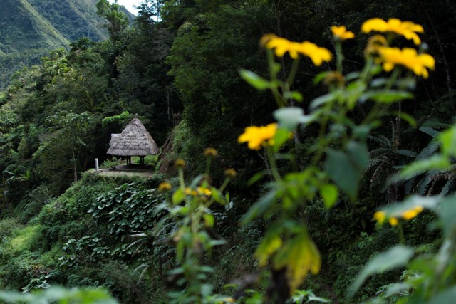 Banaue