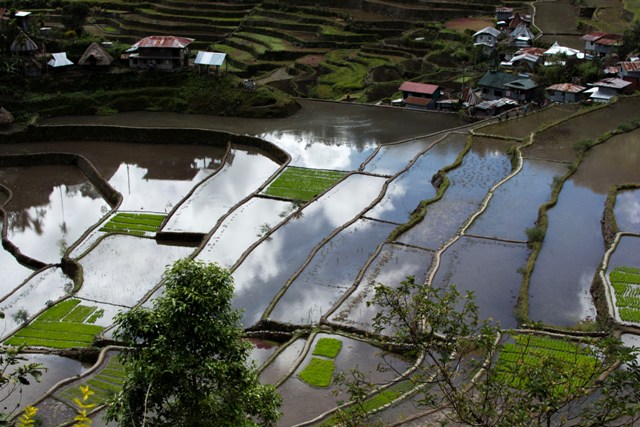 Banaue