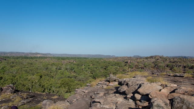 Kakadu