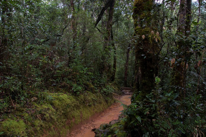 KotaKinabalu