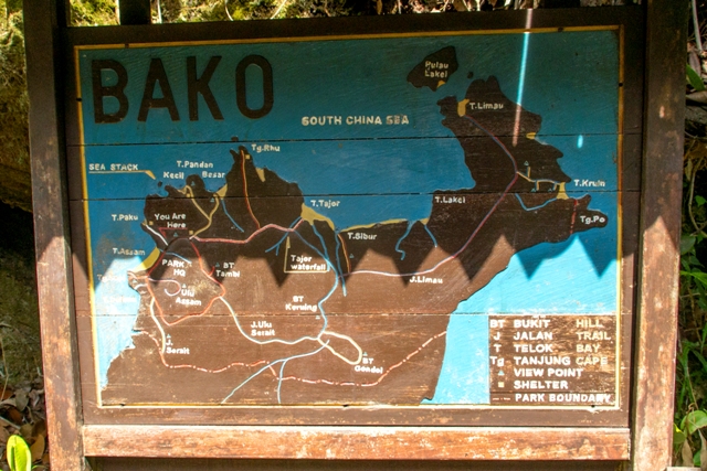 Bako