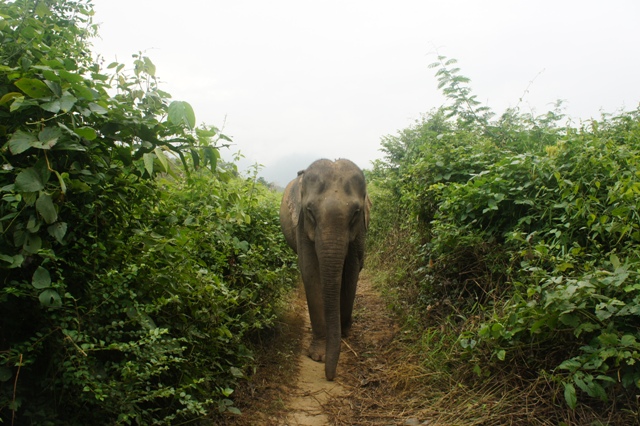 Laos