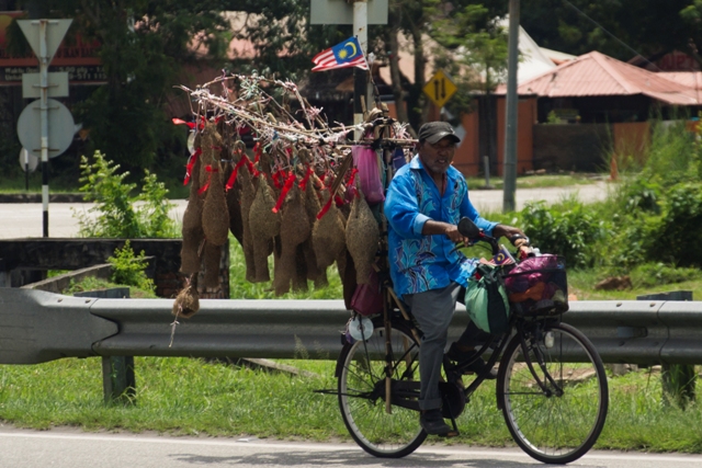 Penang